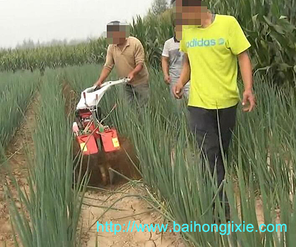 大葱专用开沟麻豆国产无码在线